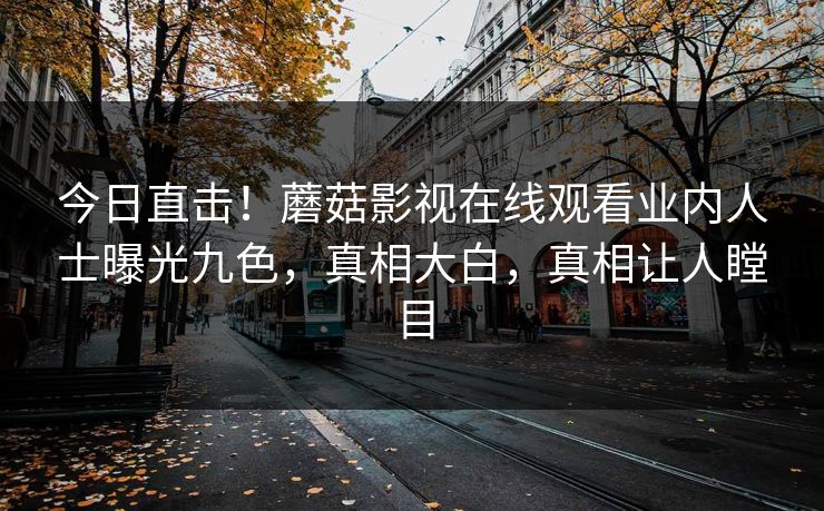 今日直击！蘑菇影视在线观看业内人士曝光九色，真相大白，真相让人瞠目