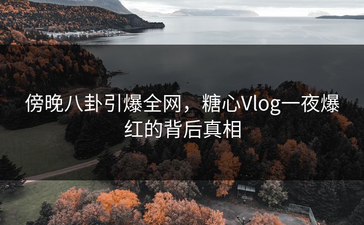 傍晚八卦引爆全网，糖心Vlog一夜爆红的背后真相
