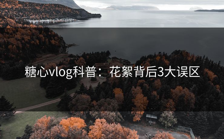 糖心vlog科普：花絮背后3大误区
