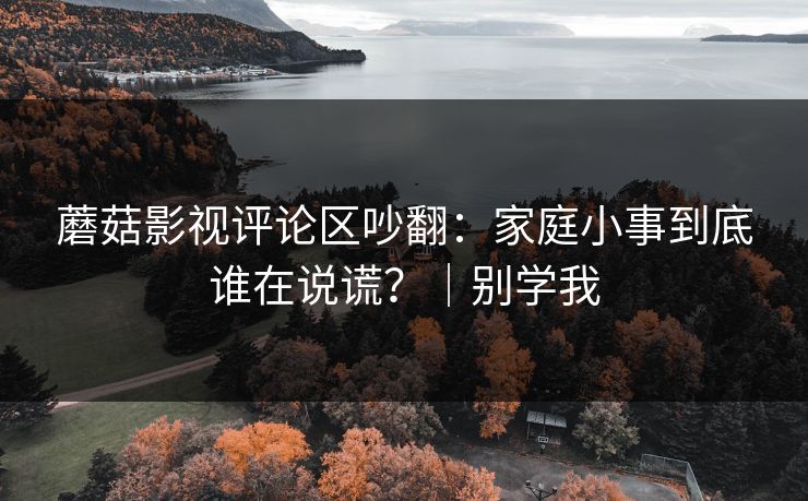 蘑菇影视评论区吵翻：家庭小事到底谁在说谎？｜别学我