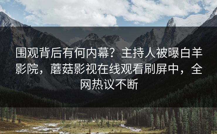 围观背后有何内幕？主持人被曝白羊影院，蘑菇影视在线观看刷屏中，全网热议不断